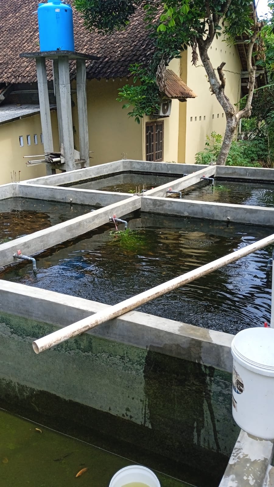 Vanilla brands display